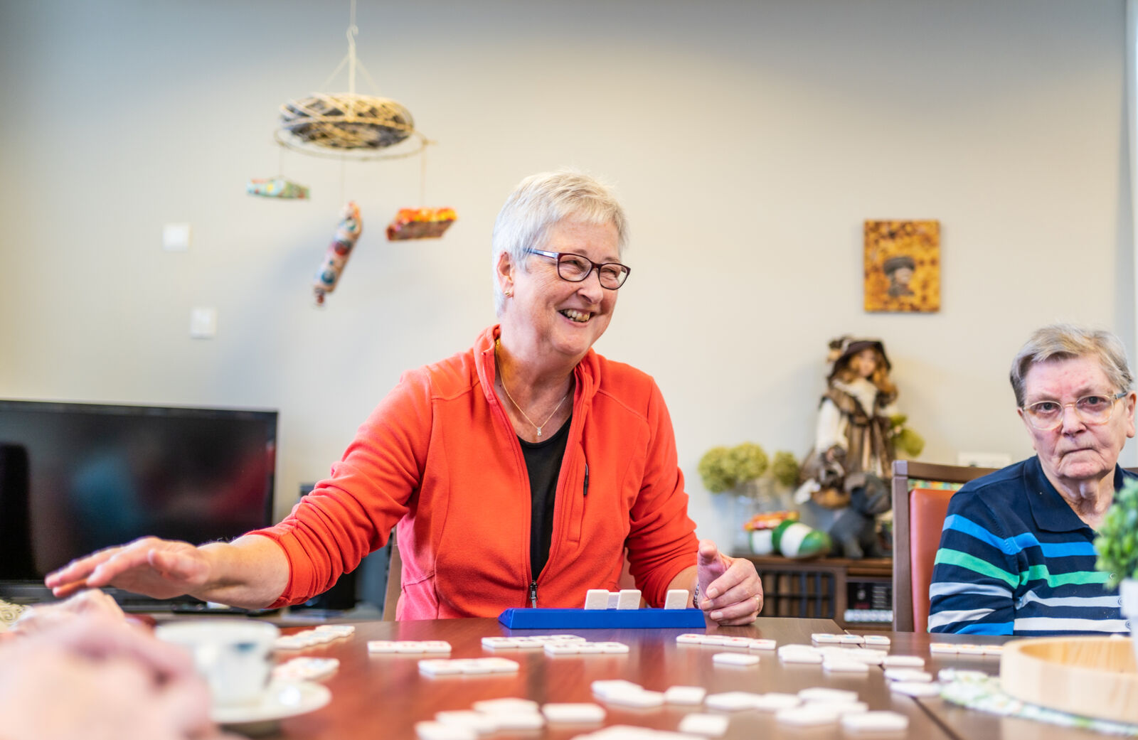 Droostaete_De Anemoon dagbesteding