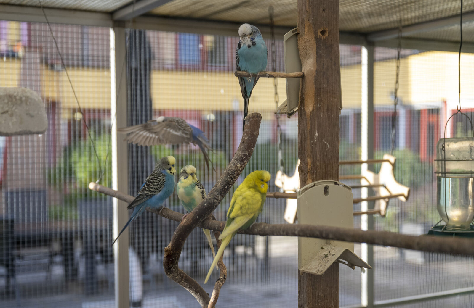 Dijkzicht buitenkant 3