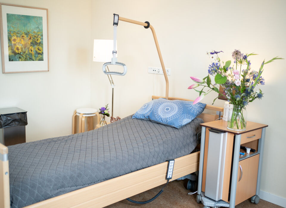 Beeldfanaat Liemerije 07089